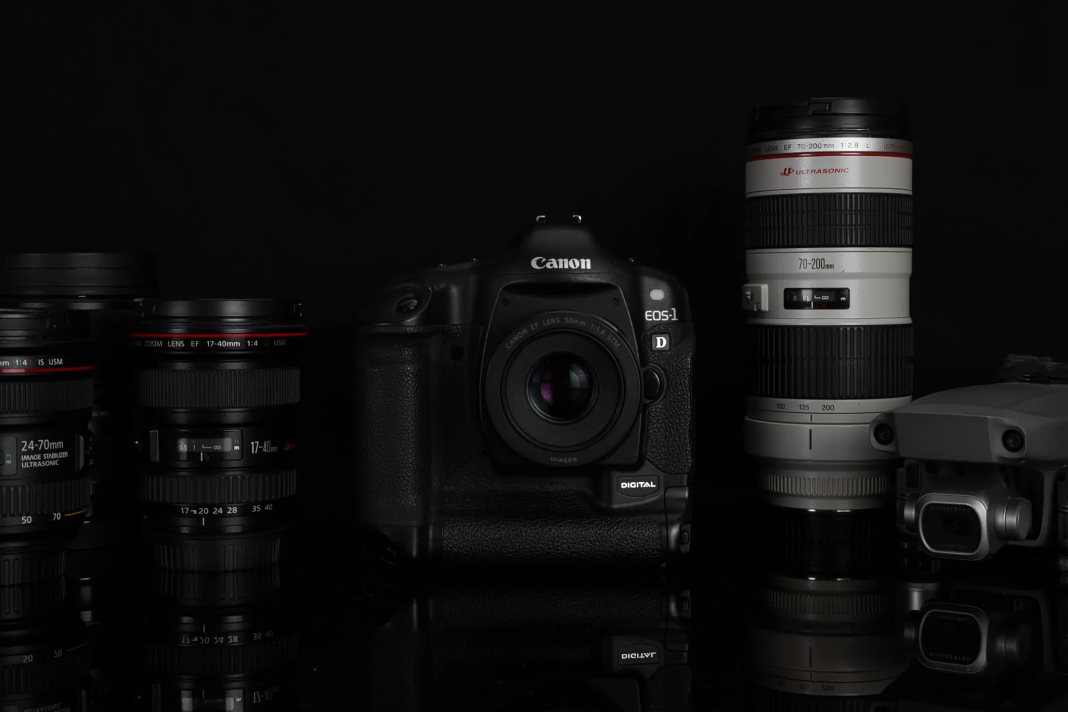 Canon 1D with lenses