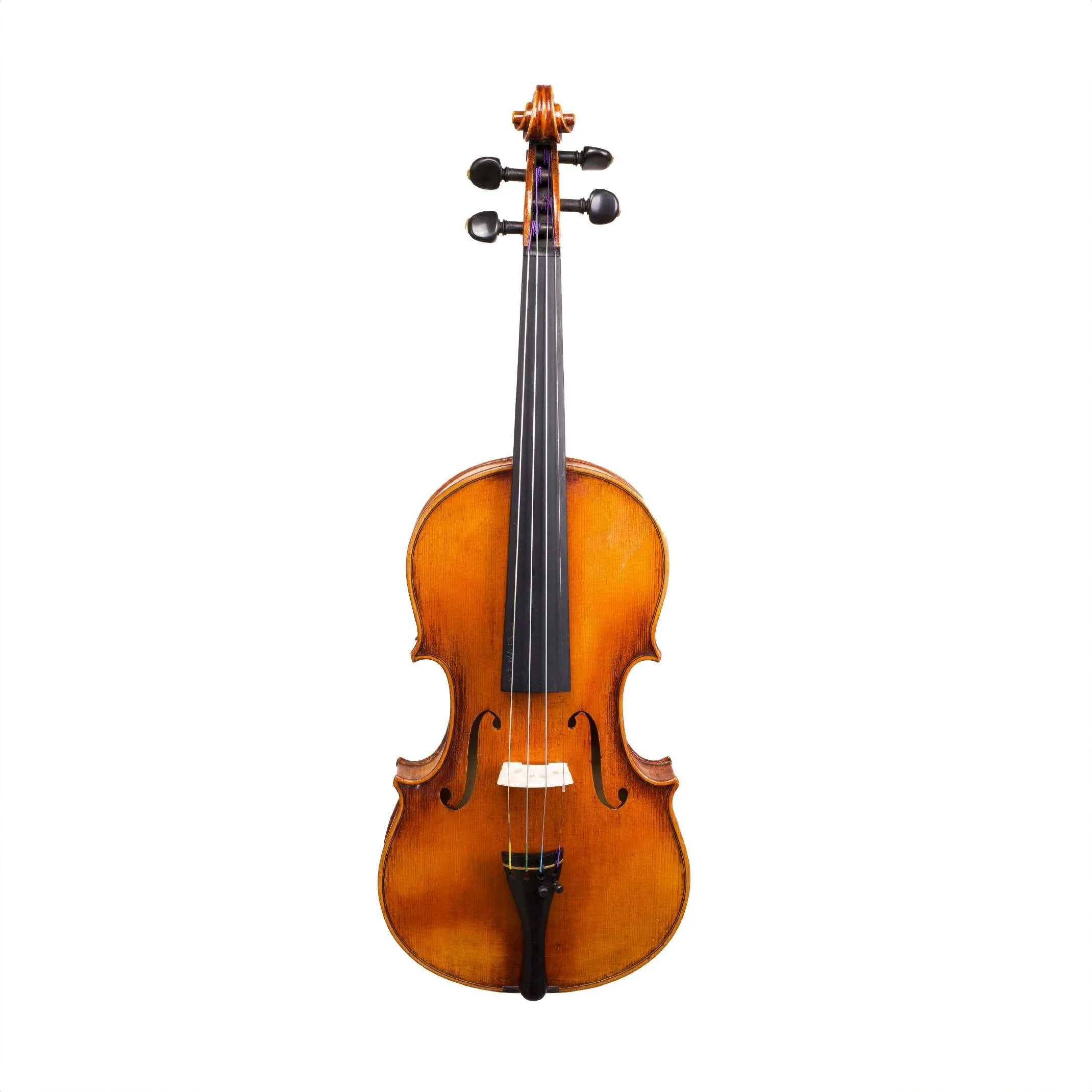 A violin seen from the front on a white background